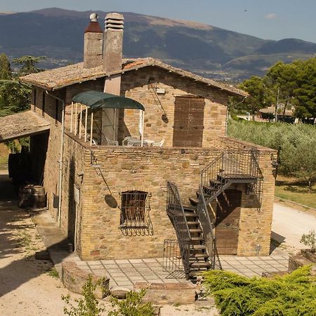 Country House Carmelita Limigiano Buitenkant foto